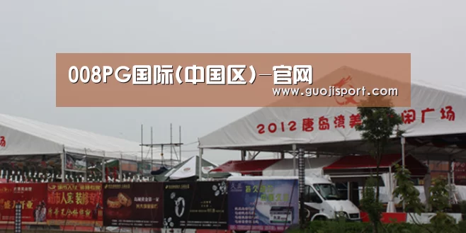 案例标题十