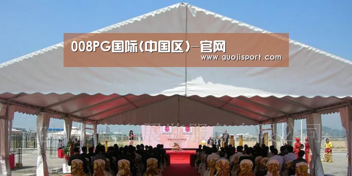 案例标题三