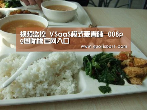 视频监控 VSaaS模式受青睐-008pg国际版官网入口(图2) pg国际008国际官网