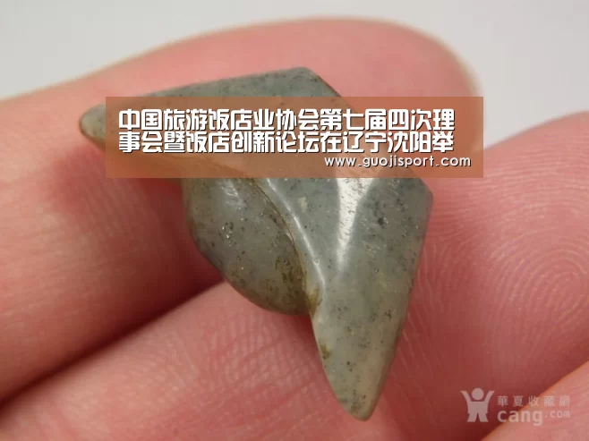 中国旅游饭店业协会第七届四次理事会暨饭店创新论坛在辽宁沈阳举办:008pg国际(图1) pg国际008国际官网